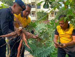 Brimob Polda Metro Jaya Panen Hasil Program Ketahanan Pangan