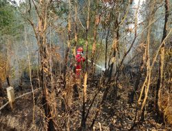 Memburu Bara di Balik Kepulan Asap, Satgas Darat Lanud Sjamsudin Noor Tak Beri Ruang Karhutla Kembali Menyala